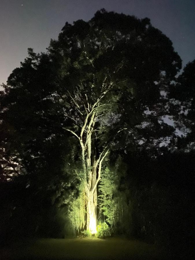 Recanto Da Floresta - Casa De Campo Em Secretario Petrópolis Eksteriør billede