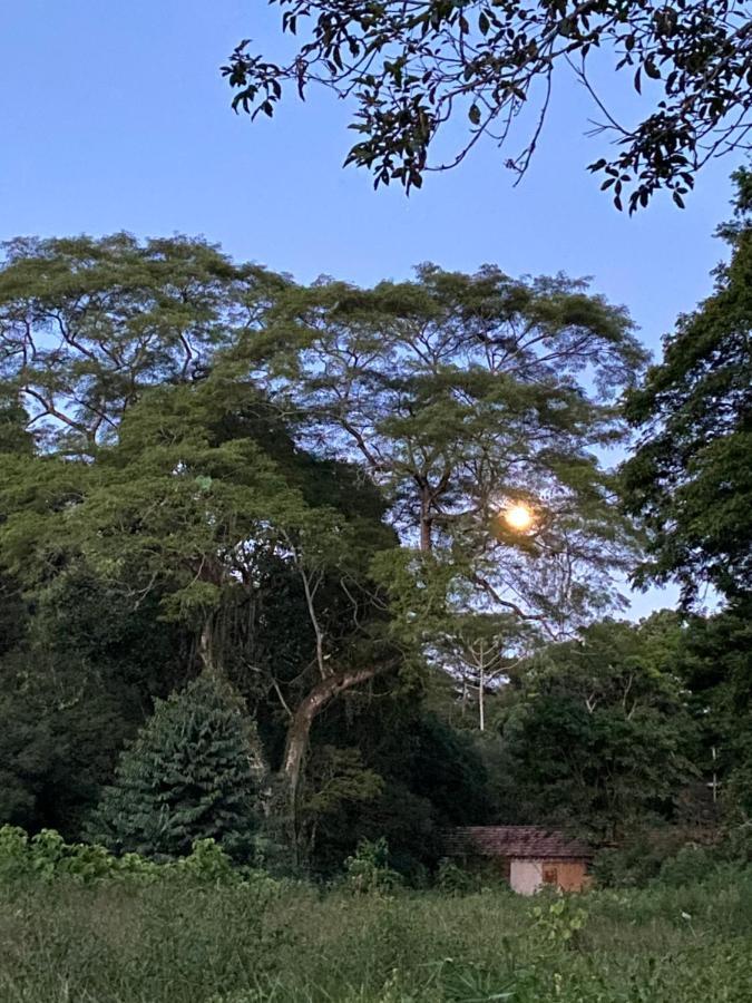 Recanto Da Floresta - Casa De Campo Em Secretario Petrópolis Eksteriør billede